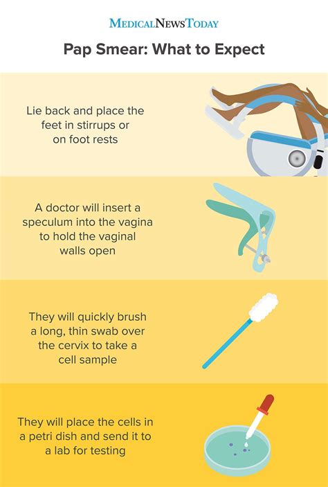 what is coccobacilli in pap smear|Pap Smear: MedlinePlus Medical Test.